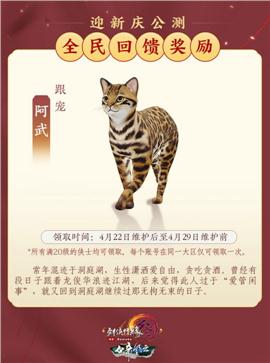金刚天龙八部私服